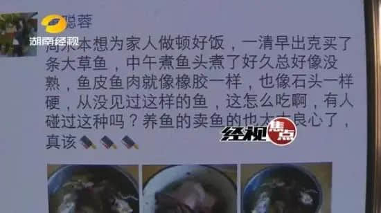 這些米其林看不上的地道廣東美食，你試過多少道？
