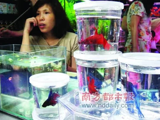 廣州最慘古街：反復(fù)拆建后荒廢十年，丟了歷史也失了人氣