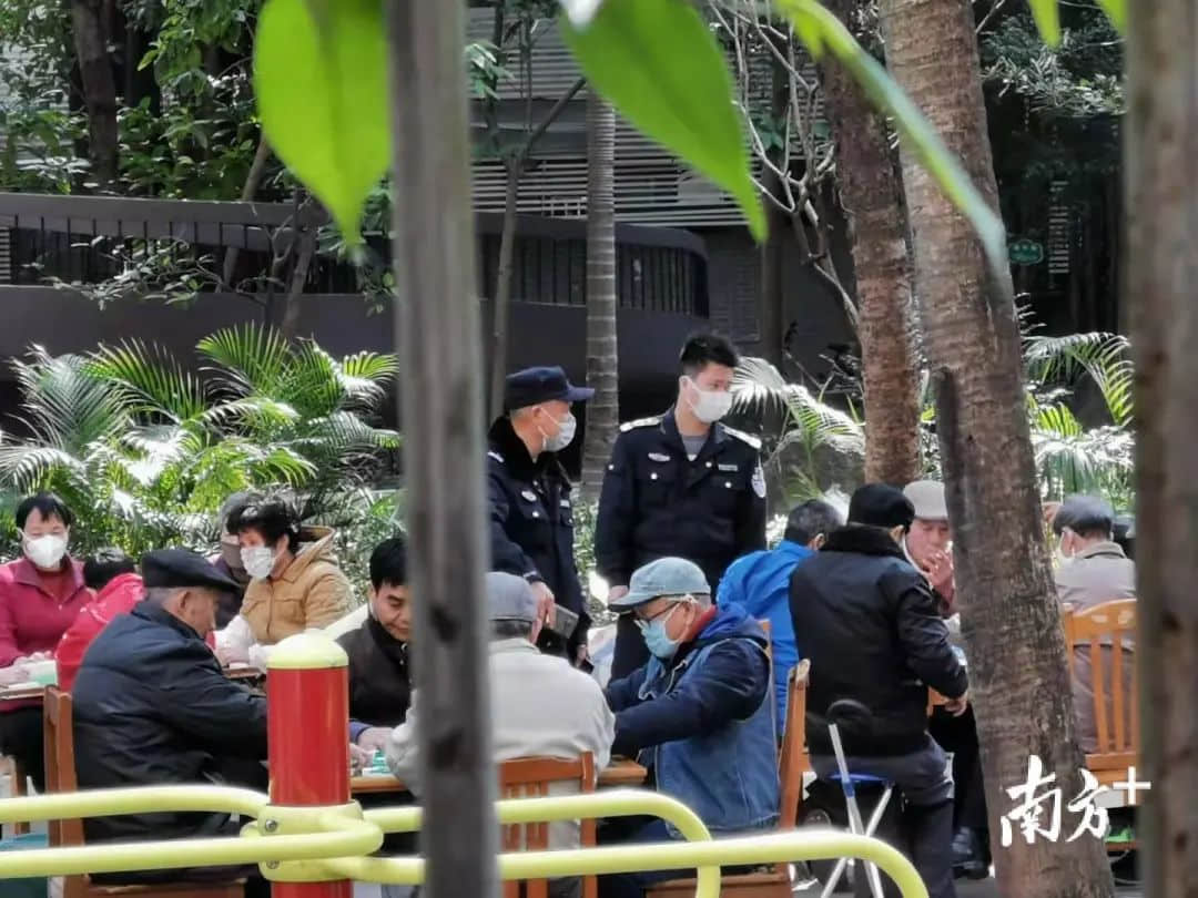 花都有疫情啦，樹(shù)還會(huì)遠(yuǎn)嗎？不如在家打麻雀吧！