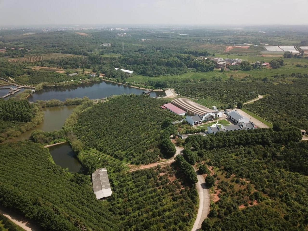 (江西綠源油脂實(shí)業(yè)有限公司——油茶基地)