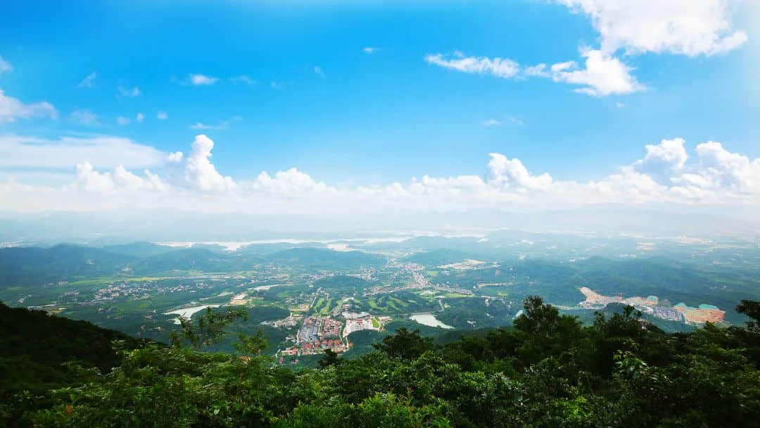 在流行基因檢測(cè)的時(shí)代，我們?yōu)槭裁催€要學(xué)中醫(yī)？
