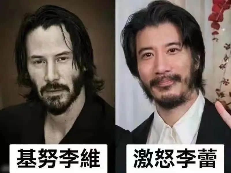 薇婭被罰13.41億，都怪王力宏在花田里犯了錯(cuò)