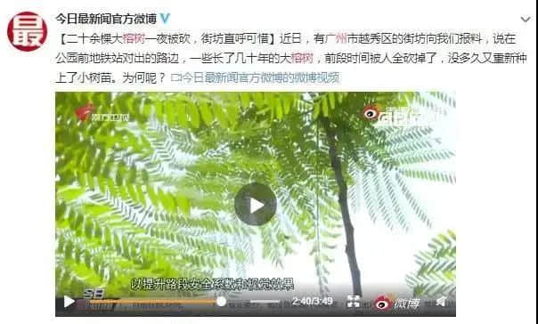 2021年大事回顧：若有一件不知道，你就不算廣東人！