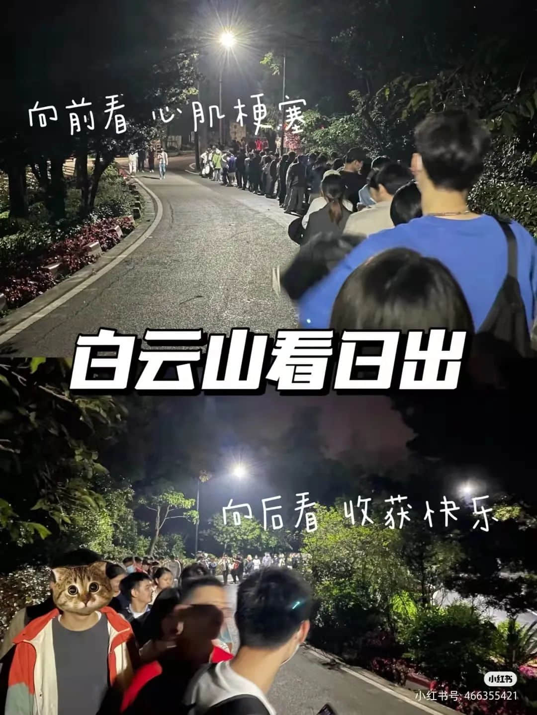 拆掉“笨豬跳”的白云山，正成為廣州年輕人凌晨三點夜爬圣地