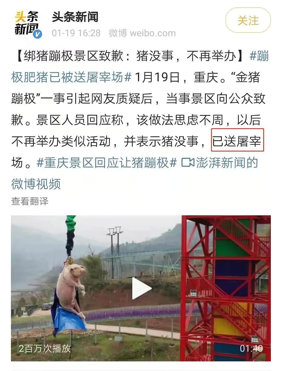 拆掉“笨豬跳”的白云山，正成為廣州年輕人凌晨三點夜爬圣地