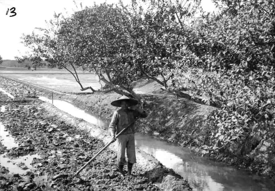 遠去的水鄉(xiāng)，多少悲歡講不完