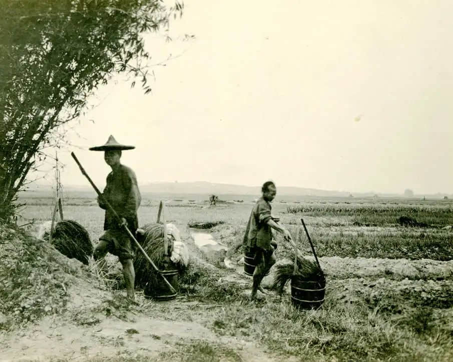 遠去的水鄉(xiāng)，多少悲歡講不完