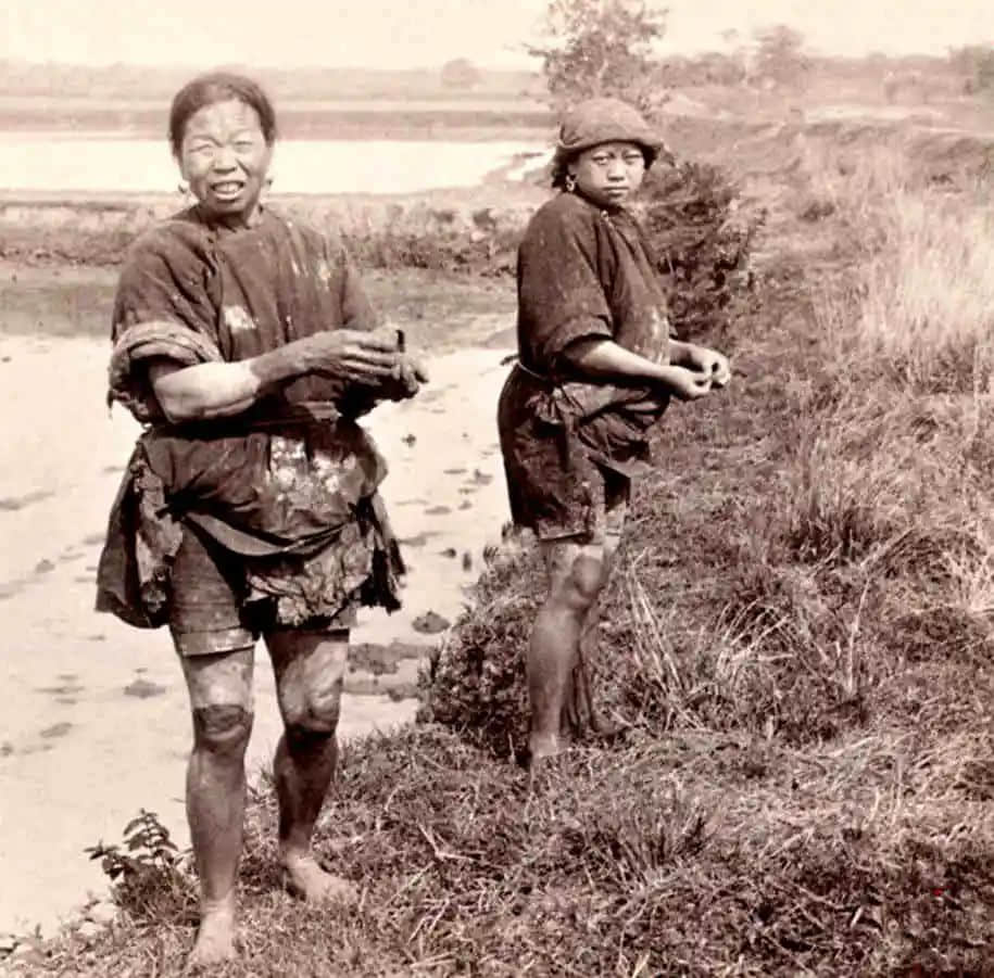遠去的水鄉(xiāng)，多少悲歡講不完