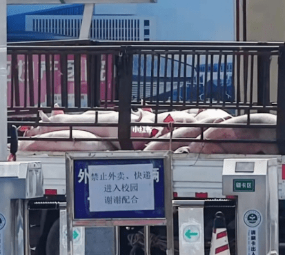 廣東打工仔：疫情使我滿身傷痕，身無(wú)分文