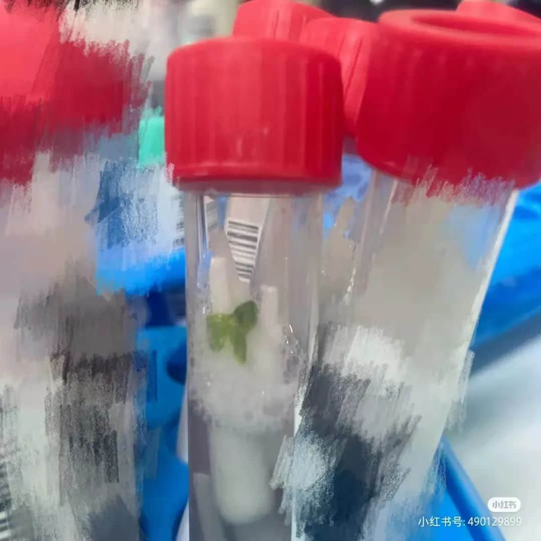 廣東打工仔：疫情使我滿身傷痕，身無(wú)分文
