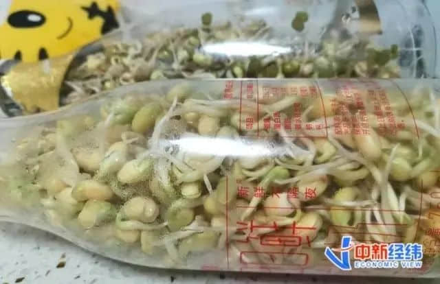 與其嘲笑上?！叭嗽O(shè)”崩塌，廣州人不如未雨綢繆