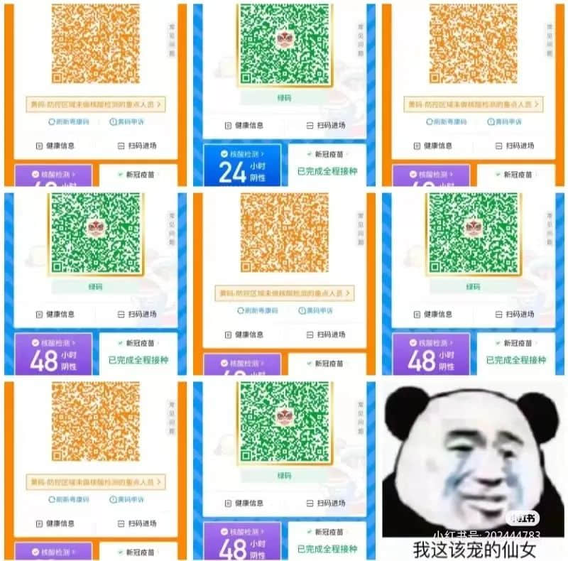 我們設(shè)計了一款游戲，深度體驗疫情下廣州人的一周！