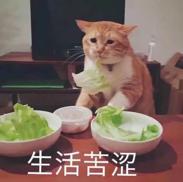 我們設(shè)計了一款游戲，深度體驗疫情下廣州人的一周！