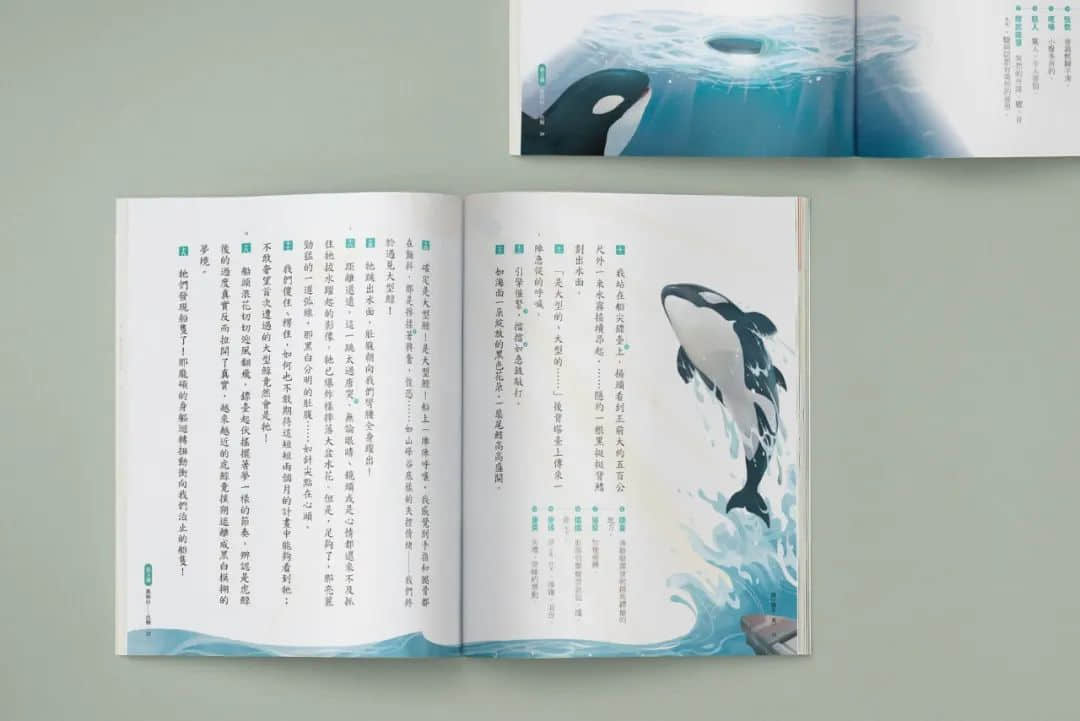 臺(tái)灣省的教科書(shū)設(shè)計(jì)，中小學(xué)課本的“正確打開(kāi)方式”！
