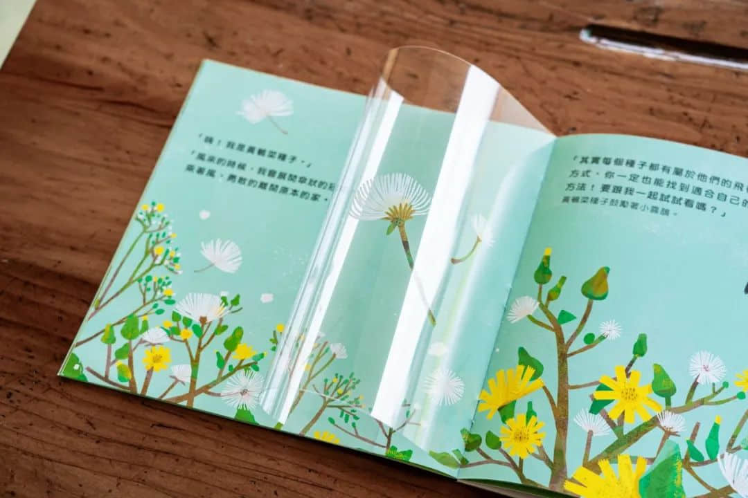 臺(tái)灣省的教科書(shū)設(shè)計(jì)，中小學(xué)課本的“正確打開(kāi)方式”！