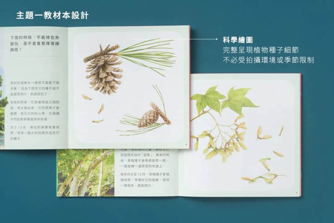 臺(tái)灣省的教科書(shū)設(shè)計(jì)，中小學(xué)課本的“正確打開(kāi)方式”！