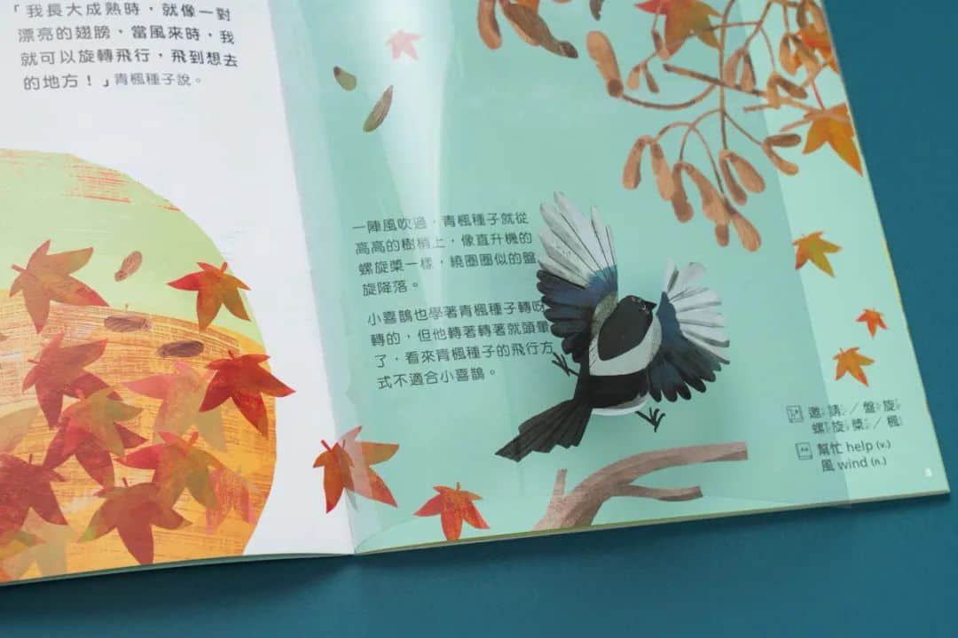 臺(tái)灣省的教科書(shū)設(shè)計(jì)，中小學(xué)課本的“正確打開(kāi)方式”！