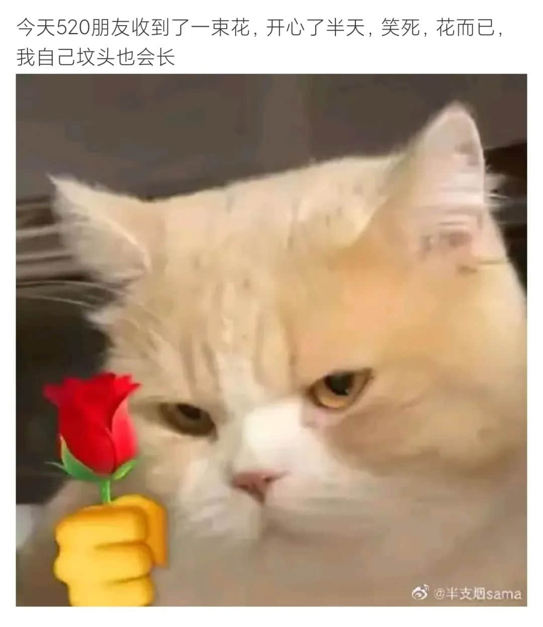 今時(shí)今日，誰還在乎520？