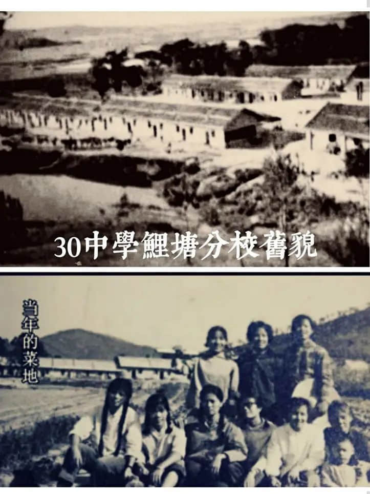 市三十中學(xué)往事:拾起記憶的碎片 || 明志輝 市三十中學(xué)往事:拾起記憶的碎片 || 明志輝