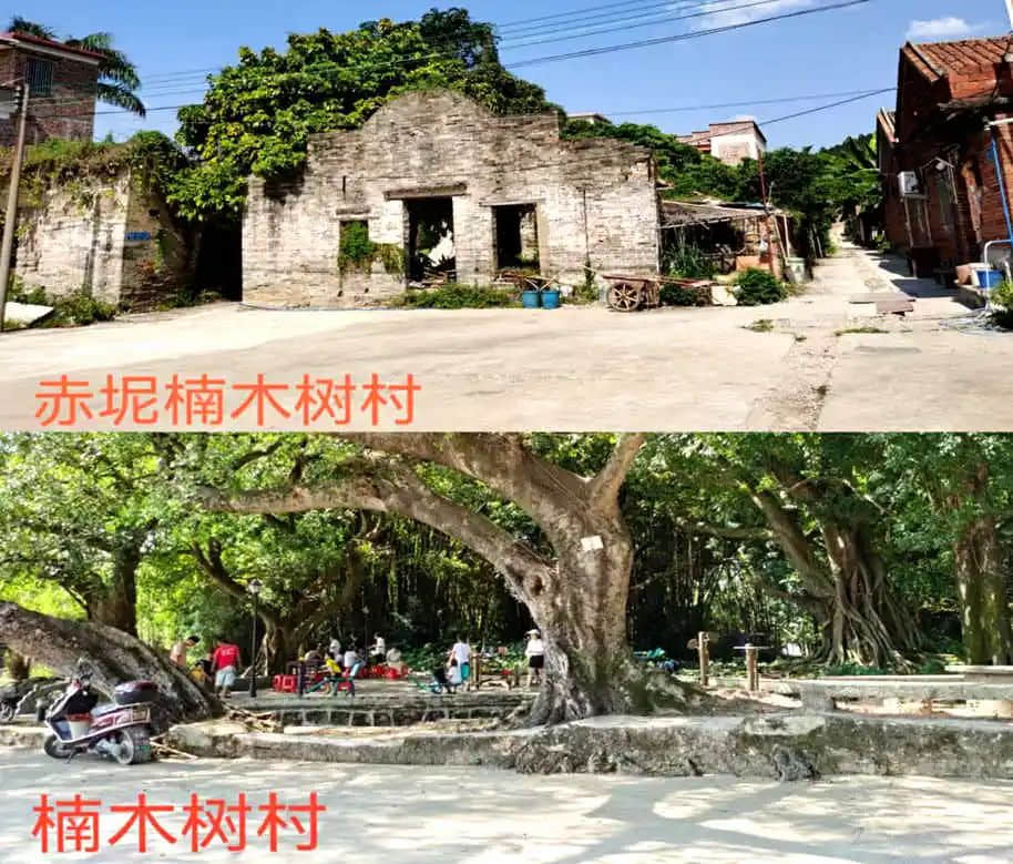 市三十中學(xué)往事:拾起記憶的碎片 || 明志輝 市三十中學(xué)往事:拾起記憶的碎片 || 明志輝