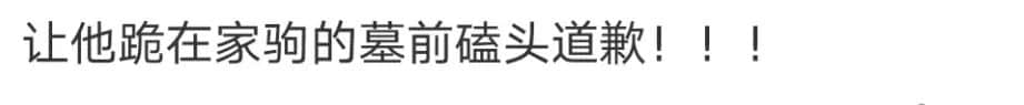 何金德導(dǎo)演為什么會(huì)惹眾怒？