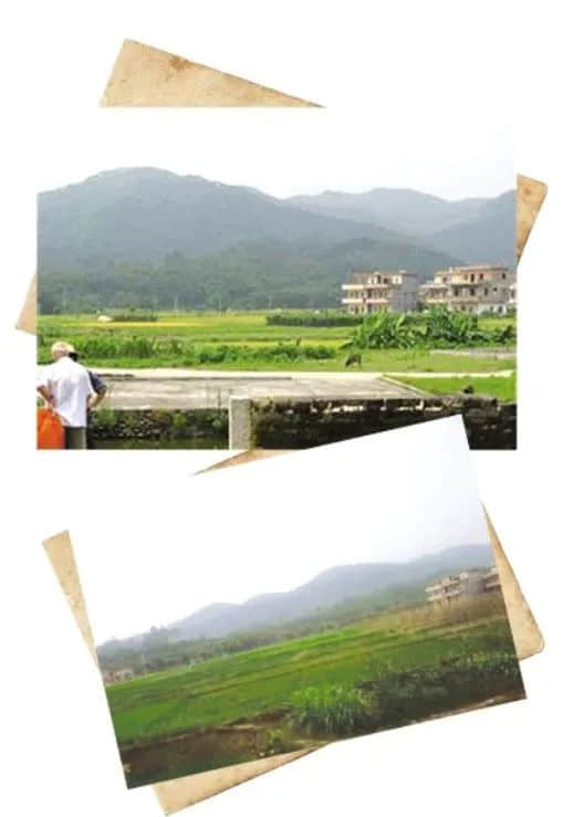 離廣州市區(qū)八十多公里，就有如此古樸的鄉(xiāng)村