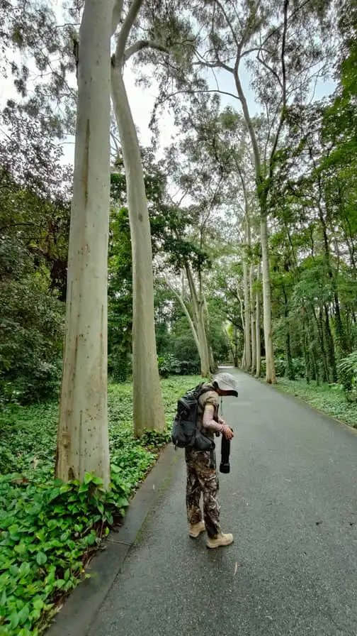 在華南植物園邂逅一位志愿者 || 李健鴻 在華南植物園邂逅一位志愿者 || 李健鴻