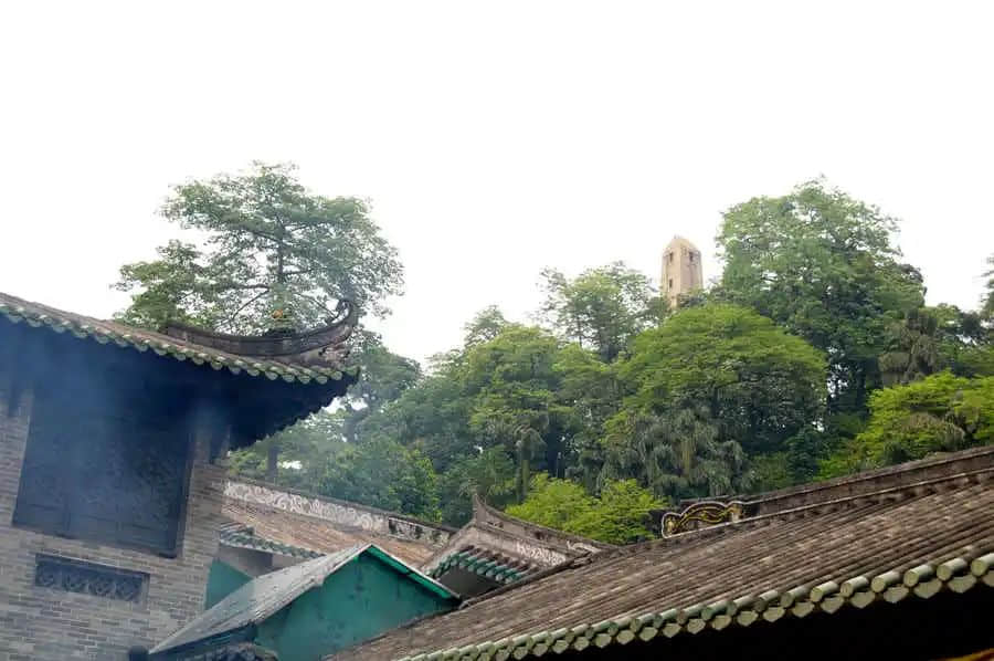 越秀山的木棉樹，半里飛紅驚火樹 || 馮沛祖