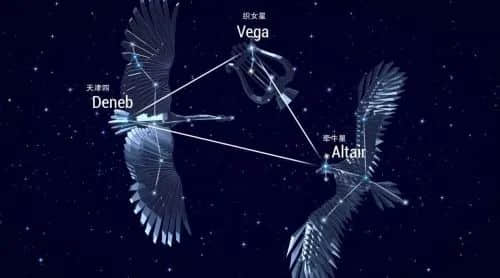 中國人一年究竟要過多少個情人節(jié)？