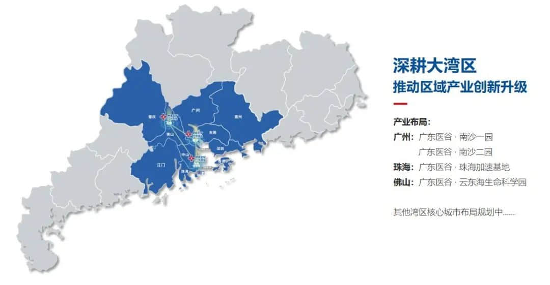 (廣東醫(yī)谷園區(qū)分布圖)