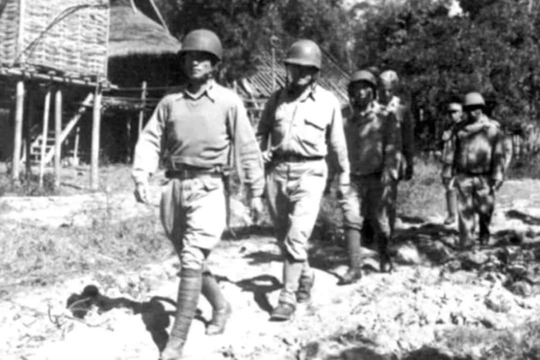從一張廣州大象照片說開去 || 荔人行 從一張廣州大象照片說開去 || 荔人行