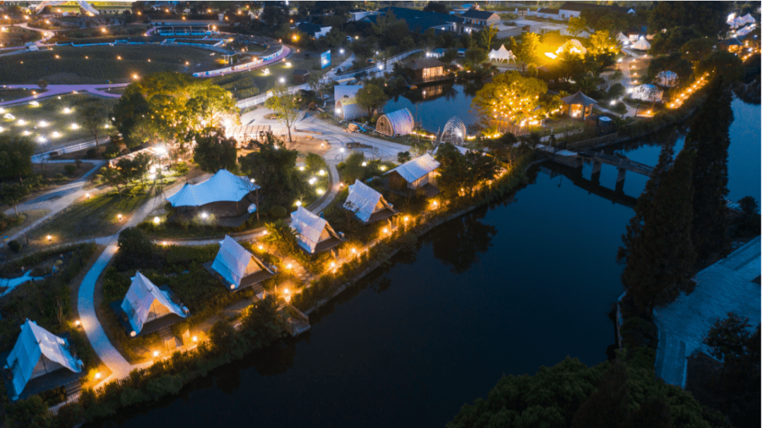(南潯石淙花海夜景)