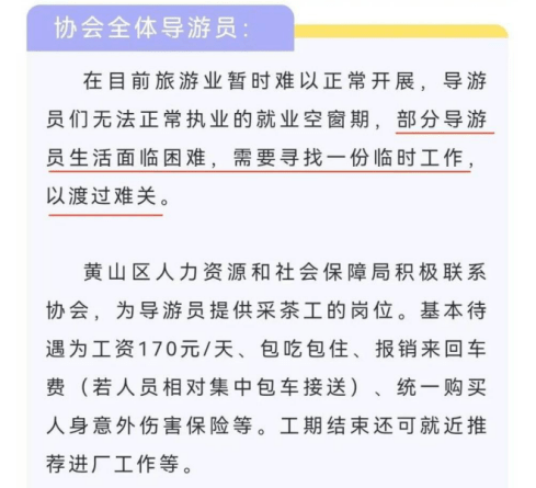 十一黃金周：大膽出游開盲盒，還是心有不甘地宅家？