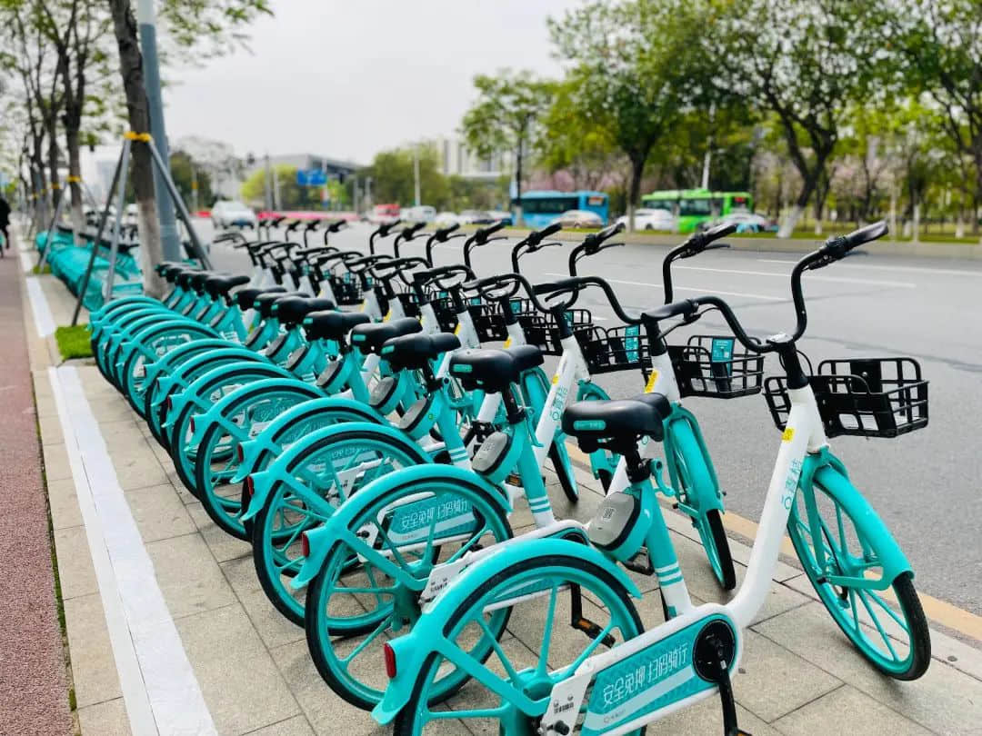 時隔三十年，海珠橋再現(xiàn)浩浩蕩蕩的單車大軍……