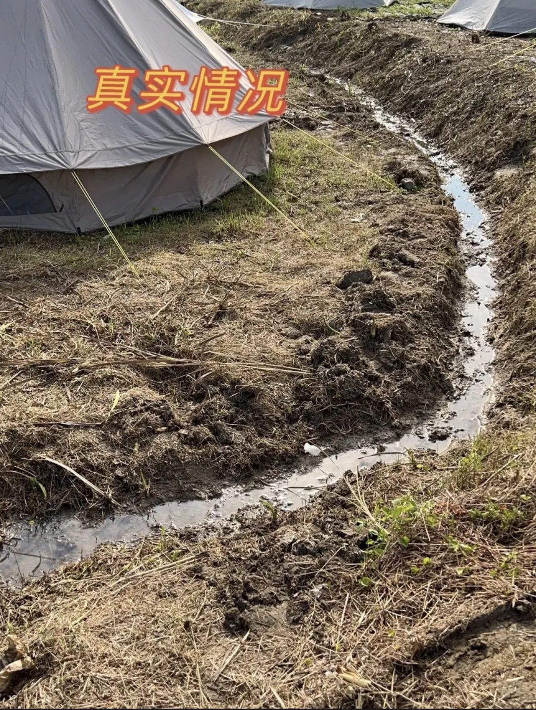 假期一帳難求，露營在廣州還能火多久？