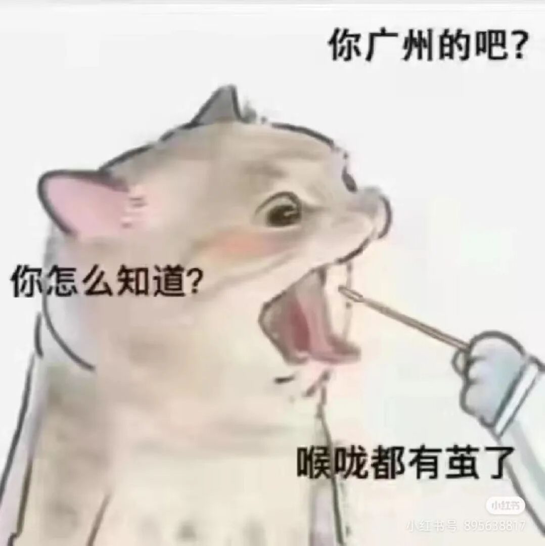 疫情下的廣州人：返工就似開盲盒，返學就如賭大細