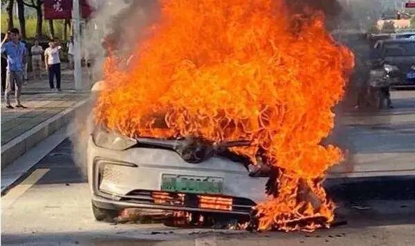 昨夜康王路小牛電動(dòng)車(chē)店門(mén)前，“電雞”又火了？