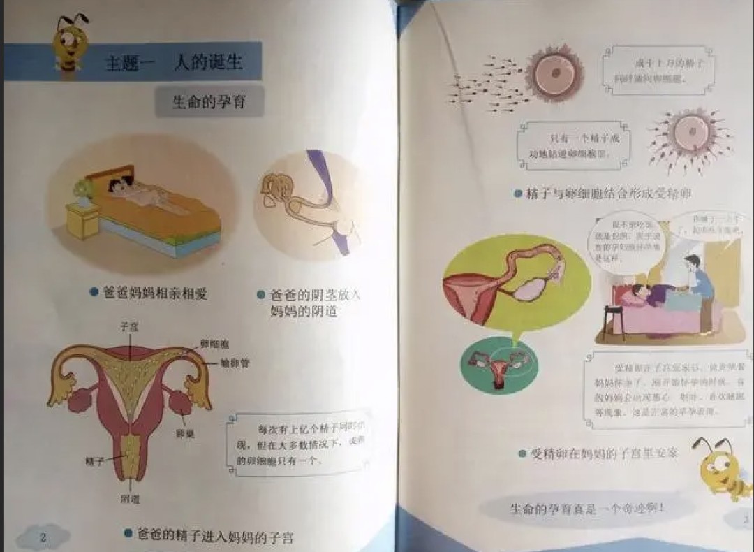 芳村某中學(xué)發(fā)生校園霸凌事件，誰來保護“少年的你”？