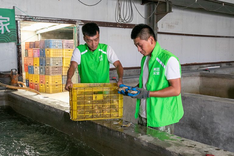 ▲?美團(tuán)買菜工作人員正在對(duì)“肥肥蠔”進(jìn)行人工檢測(cè)?攝影:楊洋