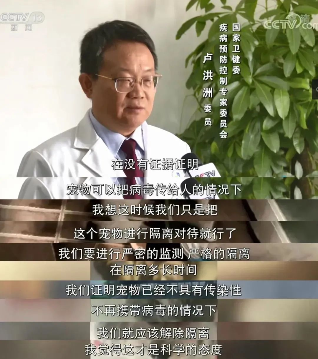 廣州疫情封控不斷加強，留守寵物誰來守護？