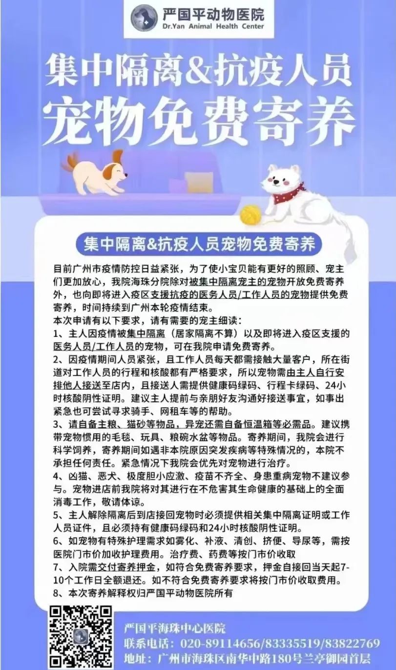 廣州疫情封控不斷加強，留守寵物誰來守護？