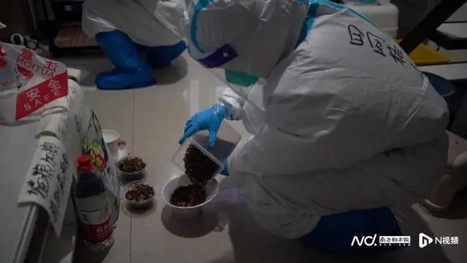 廣州疫情封控不斷加強，留守寵物誰來守護？