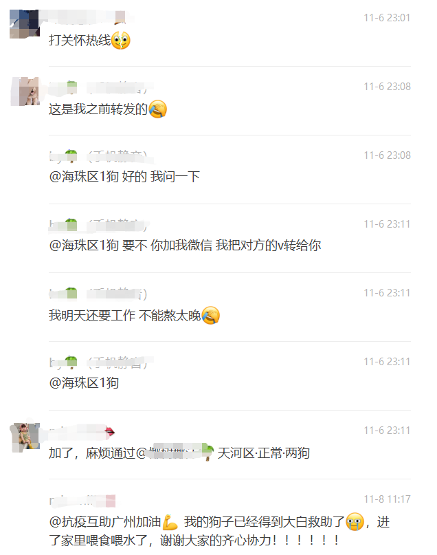 廣州疫情封控不斷加強，留守寵物誰來守護？