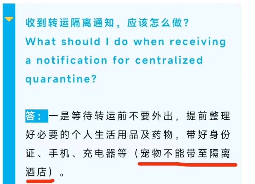 廣州疫情封控不斷加強，留守寵物誰來守護？