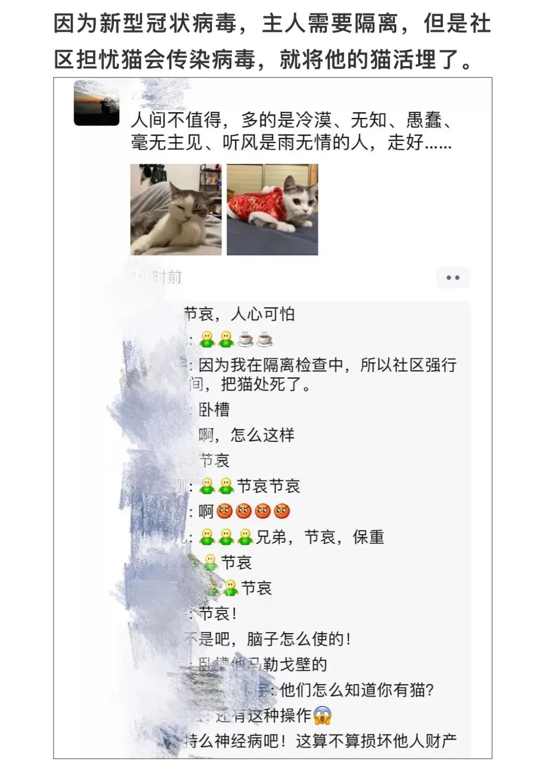 廣州疫情封控不斷加強，留守寵物誰來守護？