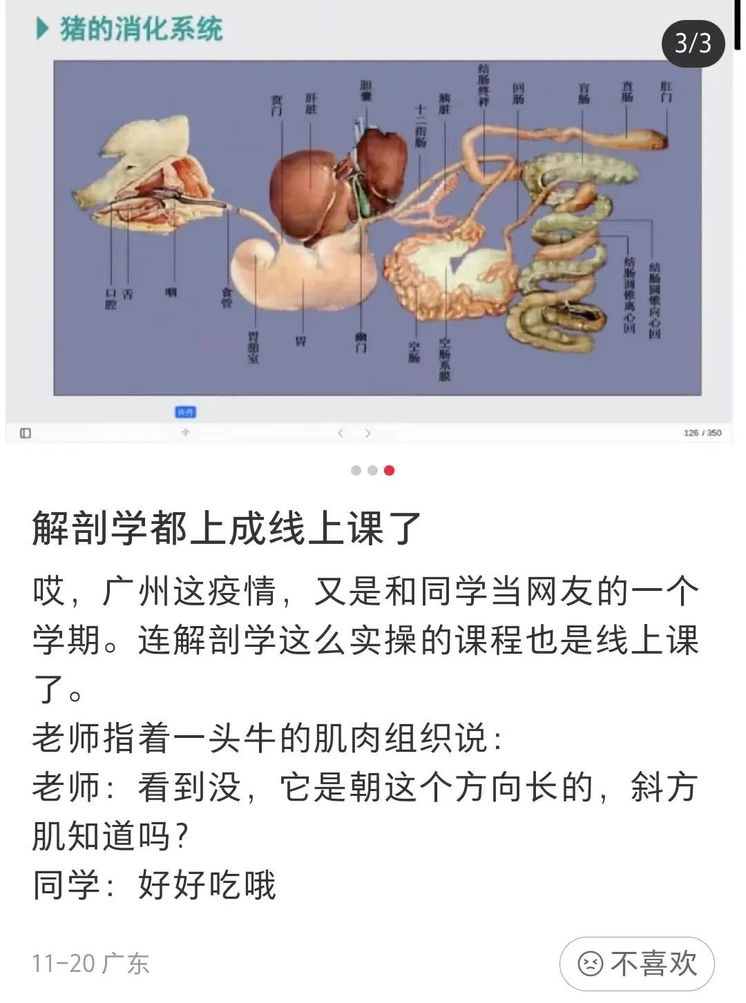 疫情下的大學(xué)生：封了，也“瘋”了？