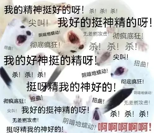 疫情下的大學(xué)生：封了，也“瘋”了？