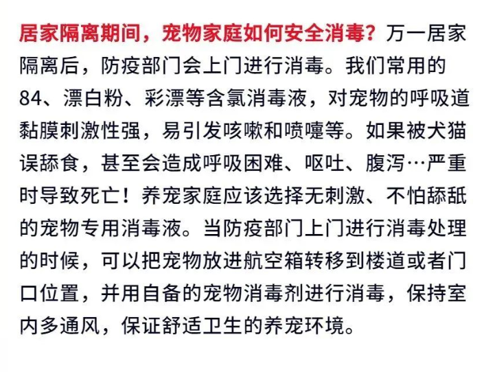 廣州疫情封控不斷加強，留守寵物誰來守護？