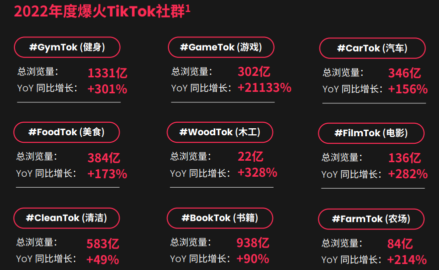 圖片 2.png 2022年度爆火 TikTok 社群