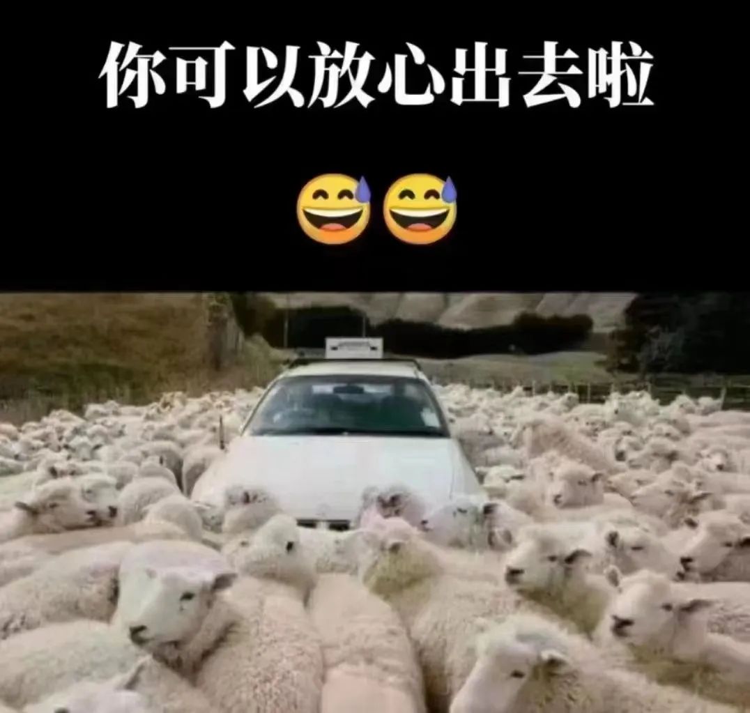 從ICU到KTV：這幾天廣州人經(jīng)歷了什么？